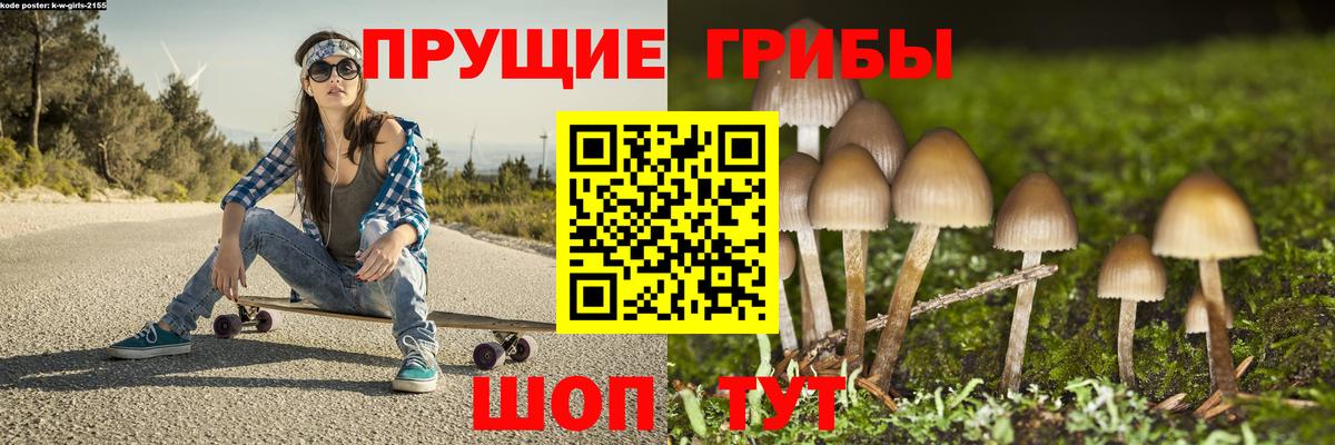 Псилоцибиновые грибы Magic Shrooms Кизляр